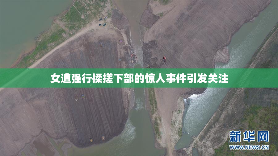 女遭强行揉搓下部的惊人事件引发关注
