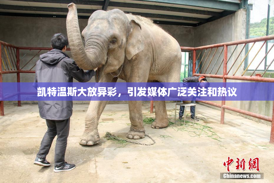 凯特温斯大放异彩，引发媒体广泛关注和热议