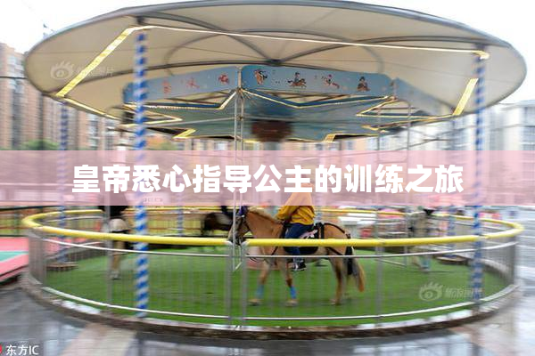 皇帝悉心指导公主的训练之旅
