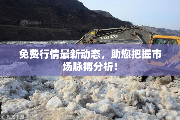免费行情最新动态，助您把握市场脉搏分析！