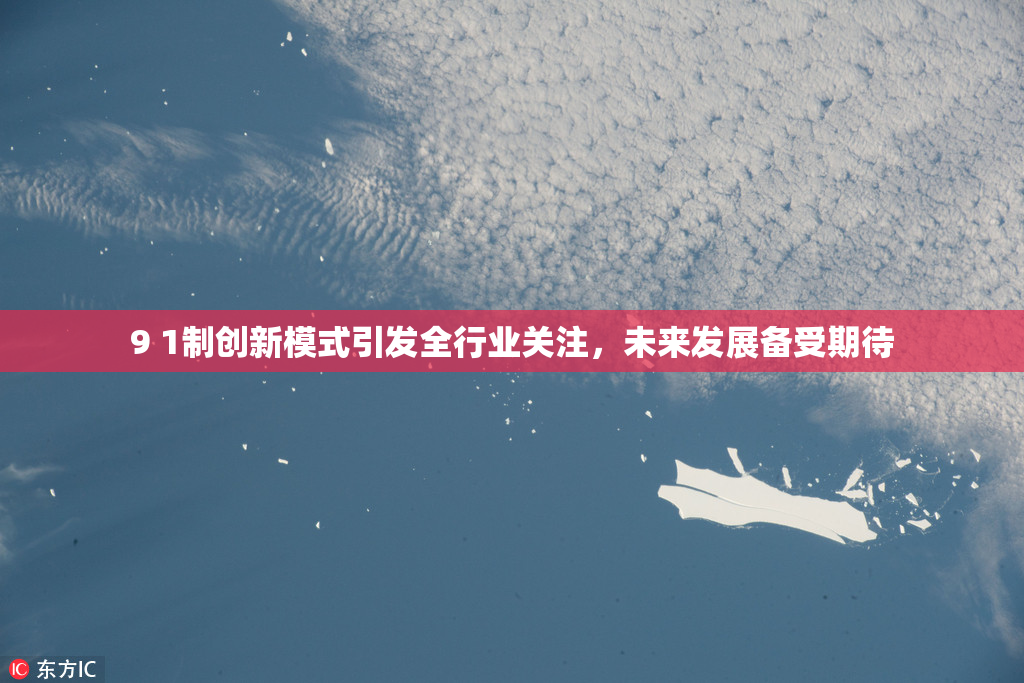 9 1制创新模式引发全行业关注，未来发展备受期待