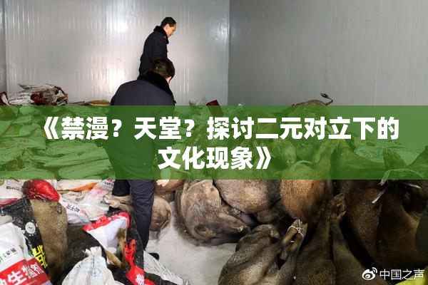 《禁漫？天堂？探讨二元对立下的文化现象》
