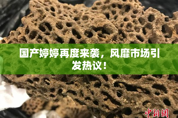 国产婷婷再度来袭，风靡市场引发热议！