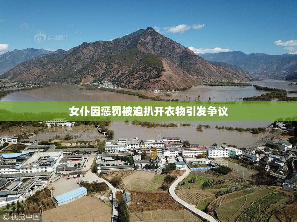 女仆因惩罚被迫扒开衣物引发争议