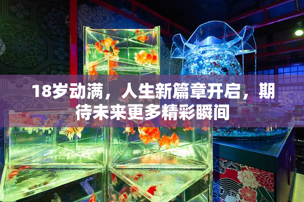 18岁动满，人生新篇章开启，期待未来更多精彩瞬间
