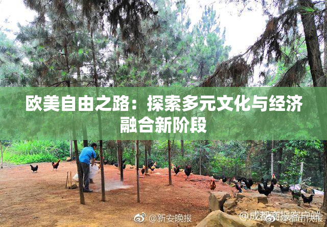 欧美自由之路：探索多元文化与经济融合新阶段