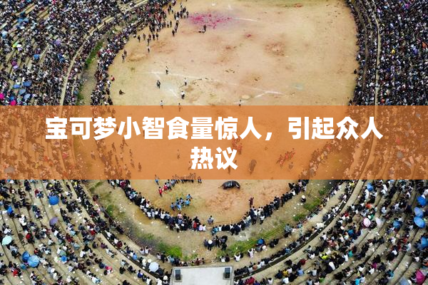 宝可梦小智食量惊人，引起众人热议