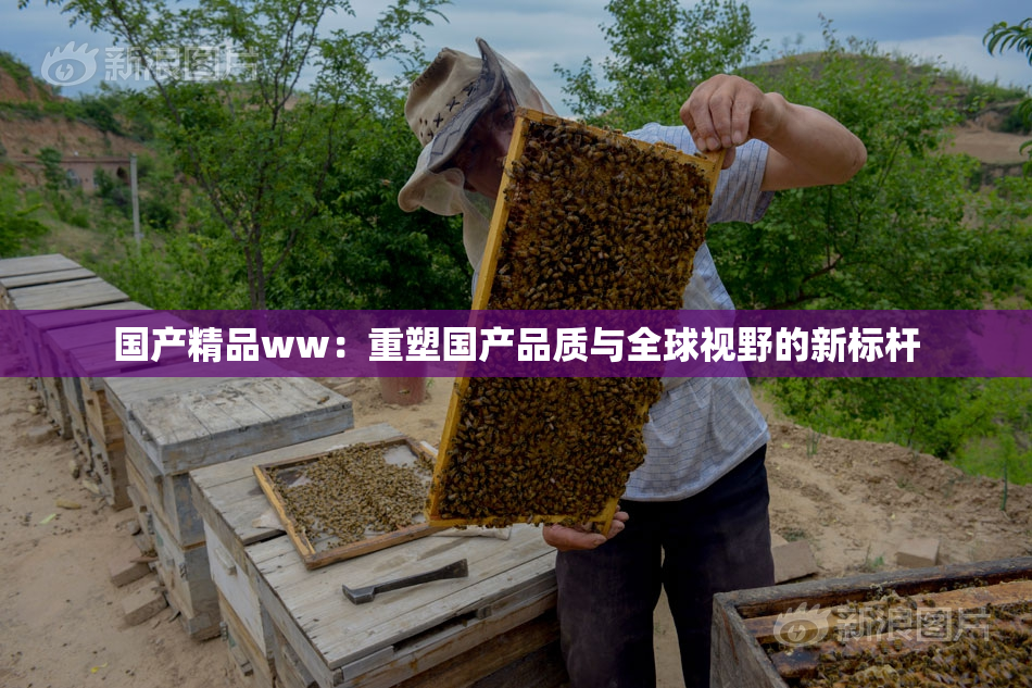 国产精品ww：重塑国产品质与全球视野的新标杆