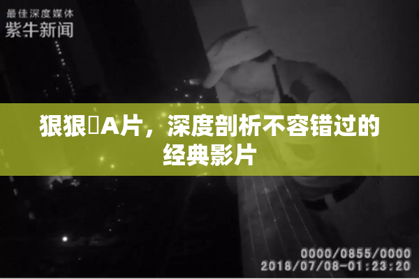 狠狠穞A片，深度剖析不容错过的经典影片