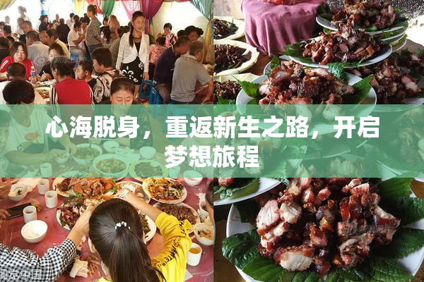 心海脱身，重返新生之路，开启梦想旅程