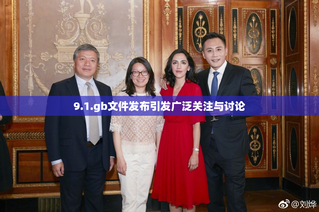 9.1.gb文件发布引发广泛关注与讨论