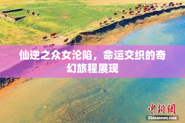 仙逆之众女沦陷，命运交织的奇幻旅程展现