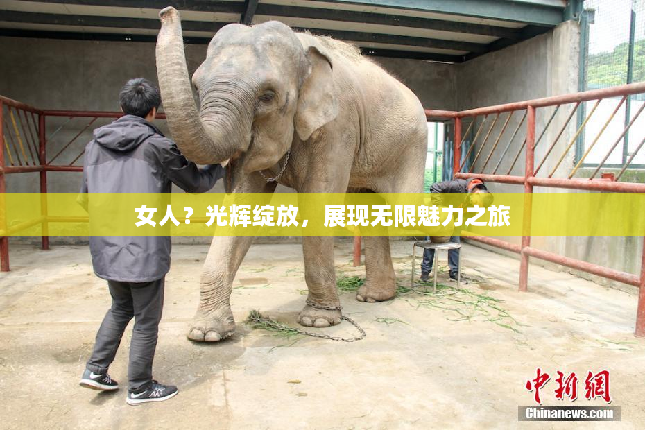 女人？光辉绽放，展现无限魅力之旅