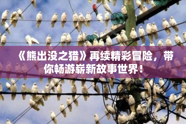 《熊出没之猎》再续精彩冒险，带你畅游崭新故事世界！