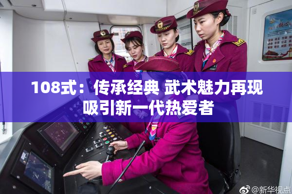 108式：传承经典 武术魅力再现 吸引新一代热爱者