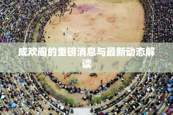 成欢阁的重磅消息与最新动态解读