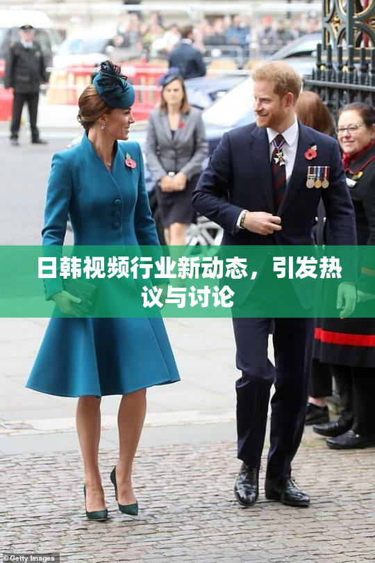 日韩视频行业新动态，引发热议与讨论