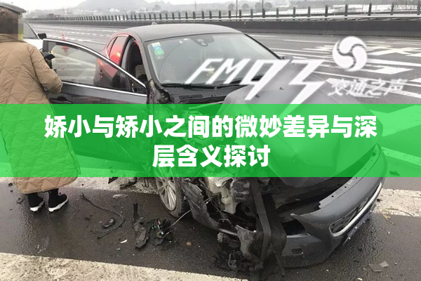 娇小与矫小之间的微妙差异与深层含义探讨