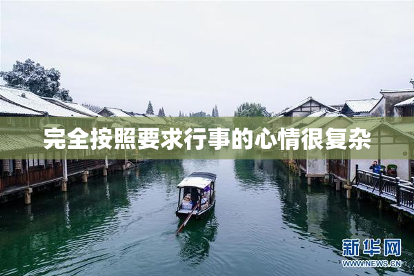 完全按照要求行事的心情很复杂