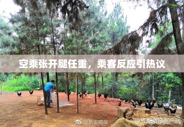 空乘张开腿任重，乘客反应引热议