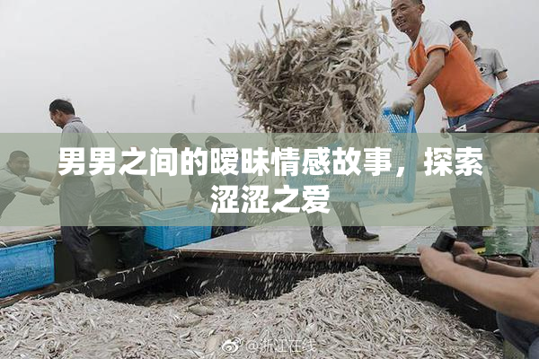 男男之间的暧昧情感故事，探索涩涩之爱
