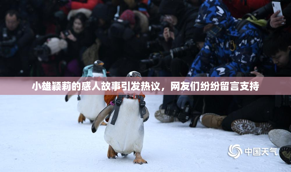 小雄颖莉的感人故事引发热议，网友们纷纷留言支持