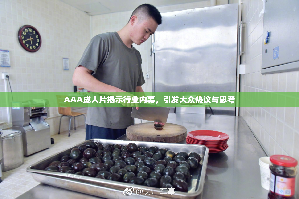 AAA成人片揭示行业内幕，引发大众热议与思考
