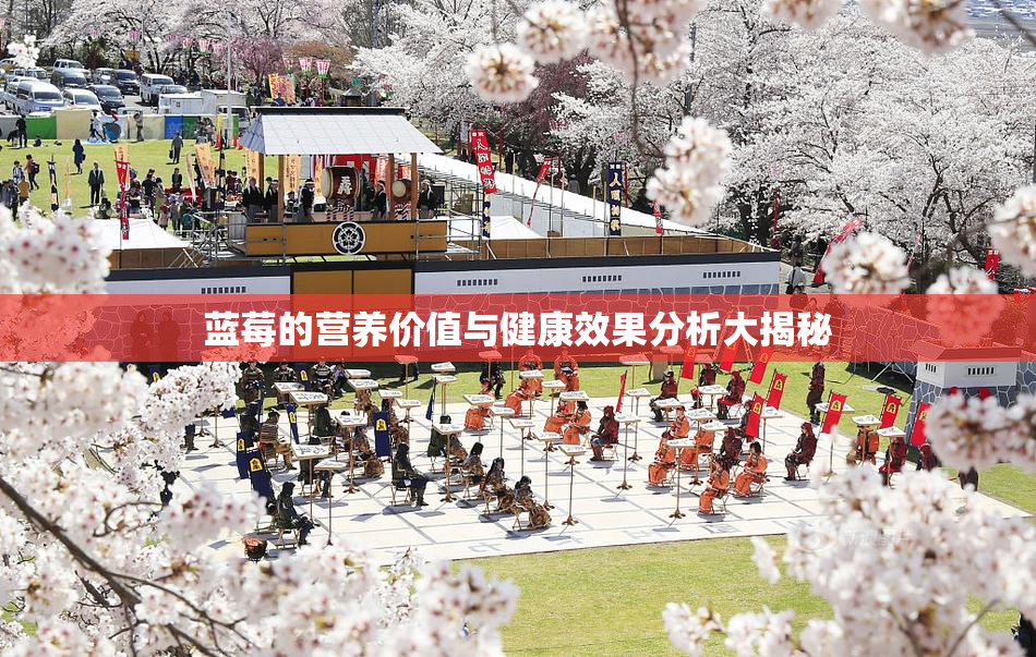 蓝莓的营养价值与健康效果分析大揭秘