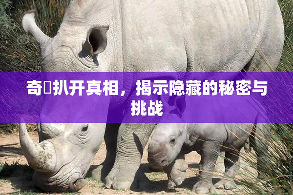 奇犽扒开真相，揭示隐藏的秘密与挑战