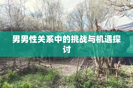 男男性关系中的挑战与机遇探讨