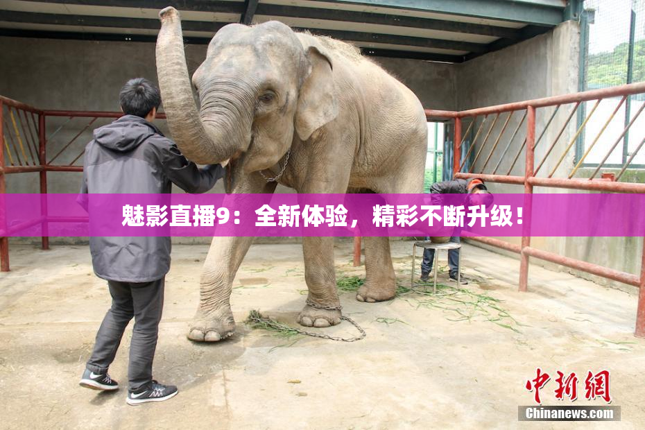 魅影直播9：全新体验，精彩不断升级！