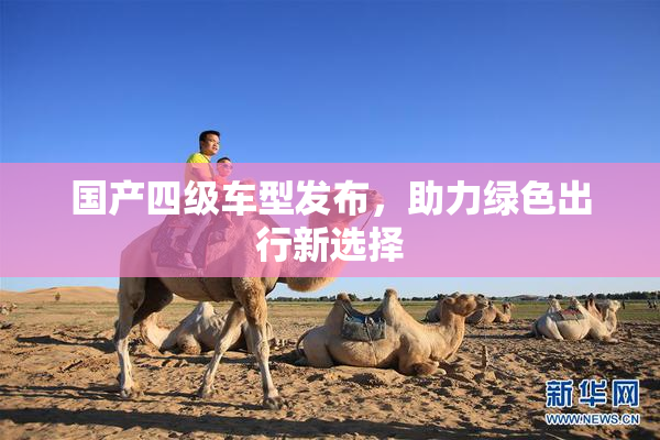 国产四级车型发布，助力绿色出行新选择
