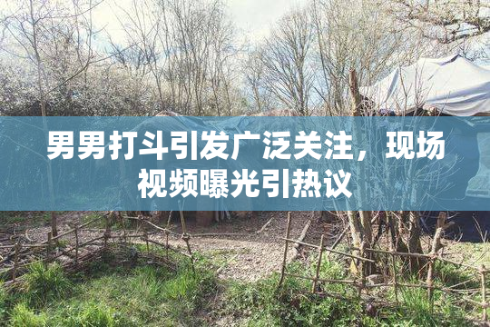男男打斗引发广泛关注，现场视频曝光引热议