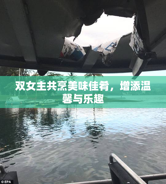 双女主共烹美味佳肴，增添温馨与乐趣