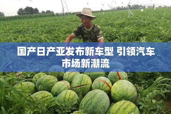 国产日产亚发布新车型 引领汽车市场新潮流