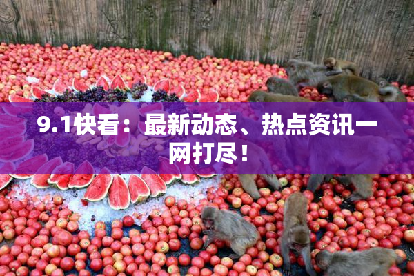 9.1快看：最新动态、热点资讯一网打尽！