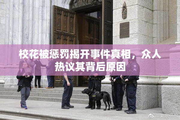 校花被惩罚揭开事件真相，众人热议其背后原因