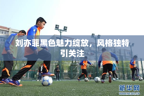 刘亦菲黑色魅力绽放，风格独特引关注