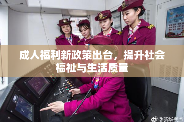 成人福利新政策出台，提升社会福祉与生活质量