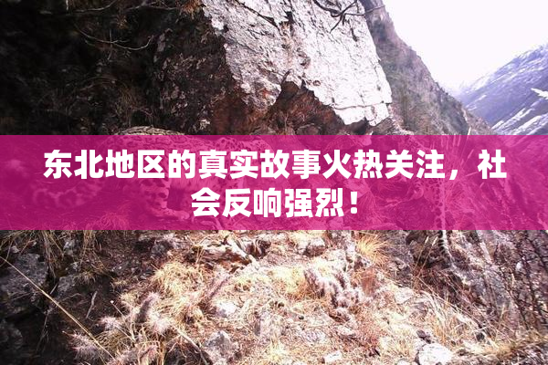 东北地区的真实故事火热关注，社会反响强烈！