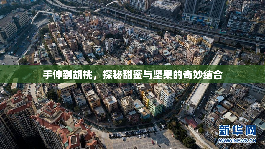 手伸到胡桃，探秘甜蜜与坚果的奇妙结合