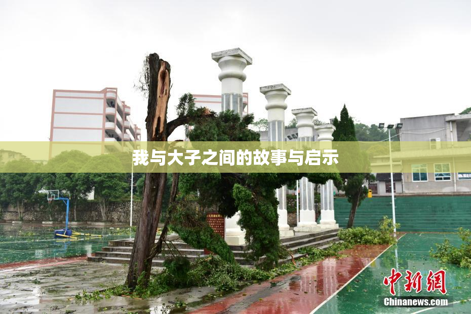 我与大子之间的故事与启示