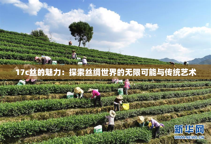 17c丝的魅力：探索丝绸世界的无限可能与传统艺术