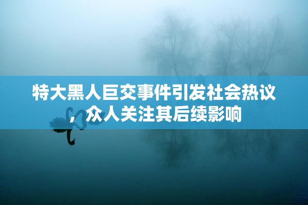 特大黑人巨交事件引发社会热议，众人关注其后续影响