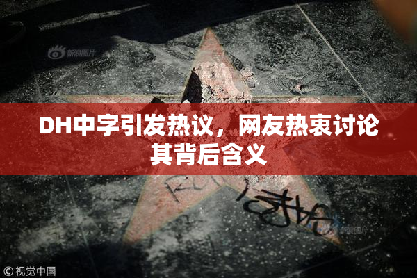 DH中字引发热议，网友热衷讨论其背后含义