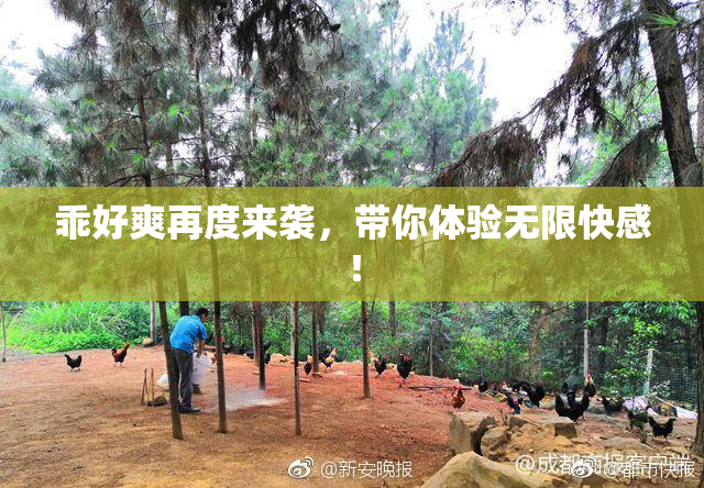 乖好爽再度来袭，带你体验无限快感！