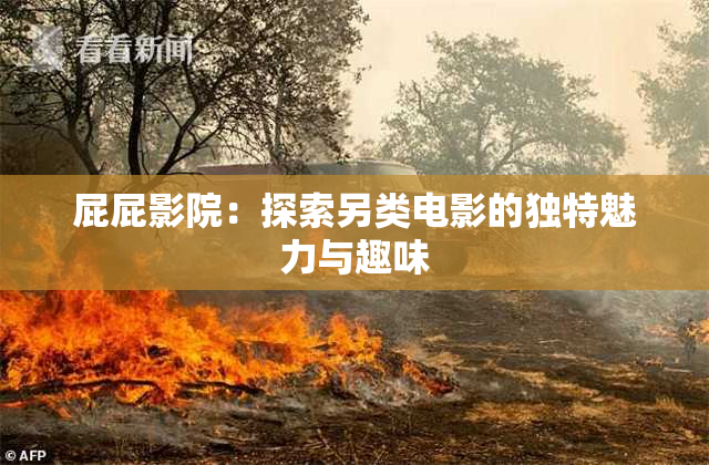 屁屁影院：探索另类电影的独特魅力与趣味