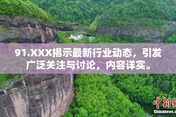 91.XXX揭示最新行业动态，引发广泛关注与讨论，内容详实。