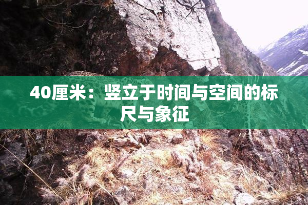 40厘米：竖立于时间与空间的标尺与象征