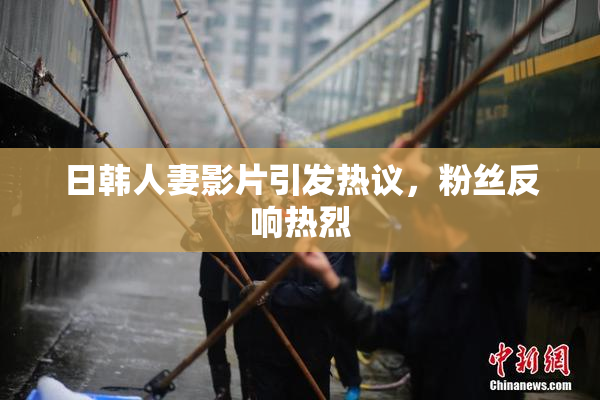 日韩人妻影片引发热议，粉丝反响热烈